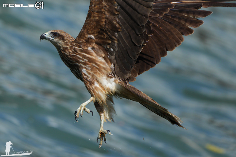FE 400-800mm F6.3-8 G OSS 蓋大樓