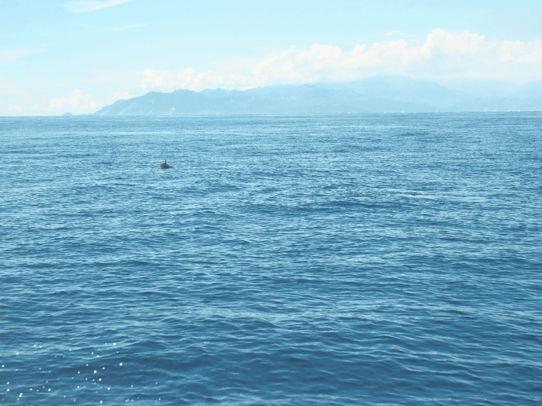 龜山島賞海豚、青蔥農場體驗蔥農生活、享用宜蘭在地無菜單料理 — 讓大腦放空休息一天之員工旅遊