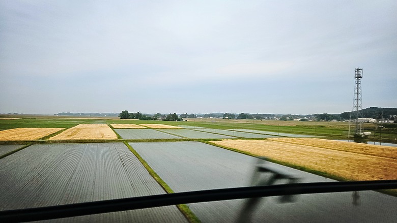 牛舌、毛豆與海岸之仙台之旅