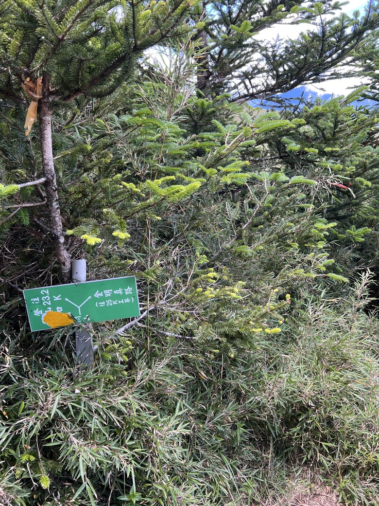 登鈴鳴閂山 ,被颱風追趕