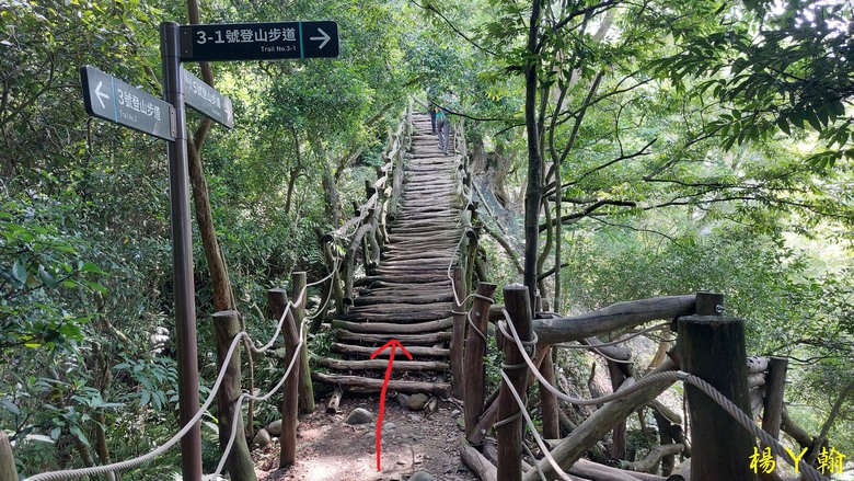 【台灣小百岳】攀登特色圓木棧道 大坑3號步道登頭嵙山