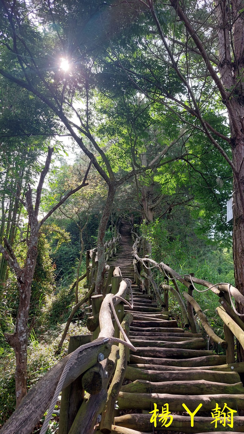 【台灣小百岳】攀登特色圓木棧道 大坑3號步道登頭嵙山