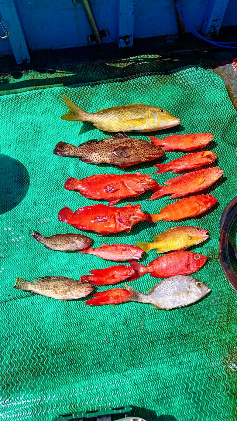 船釣底棲