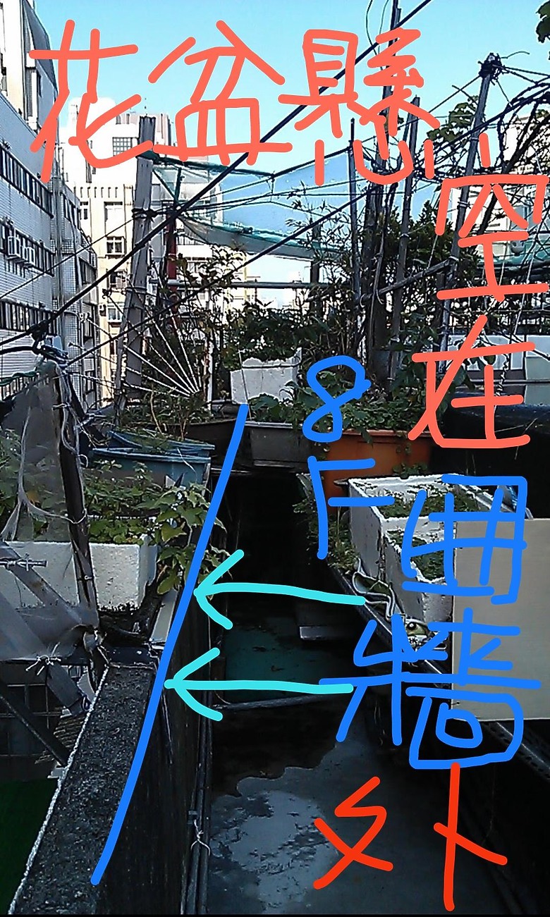 台灣最美麗的風景＿在頂樓