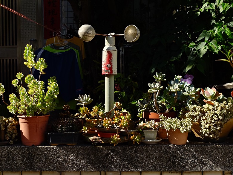 SONY XPERIA 1 VII 手機心得與照片分享