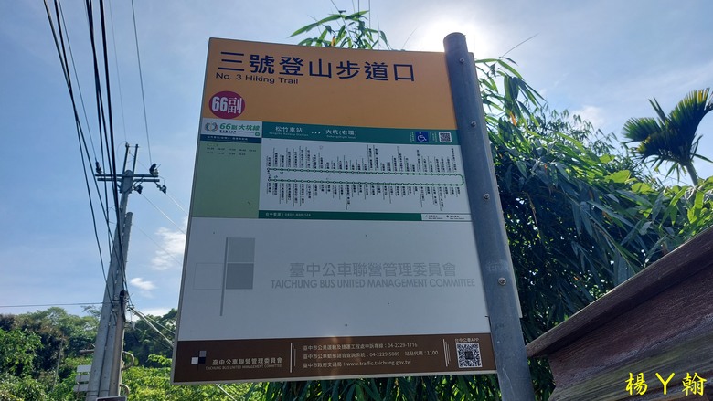 【台灣小百岳】攀登特色圓木棧道 大坑3號步道登頭嵙山