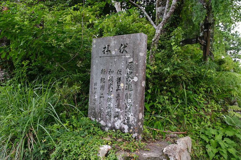 【熊野古道 Kumano Kodo】唯二的世界文化遺產朝聖之路 |中邊路38公里徒步之行