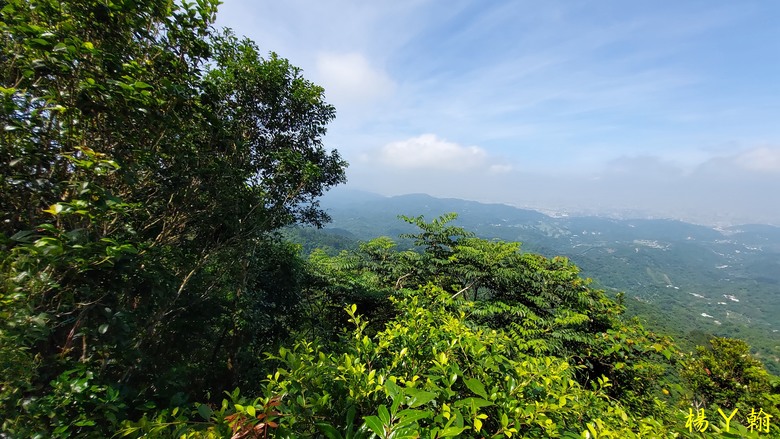 【台灣小百岳】攀登特色圓木棧道 大坑3號步道登頭嵙山