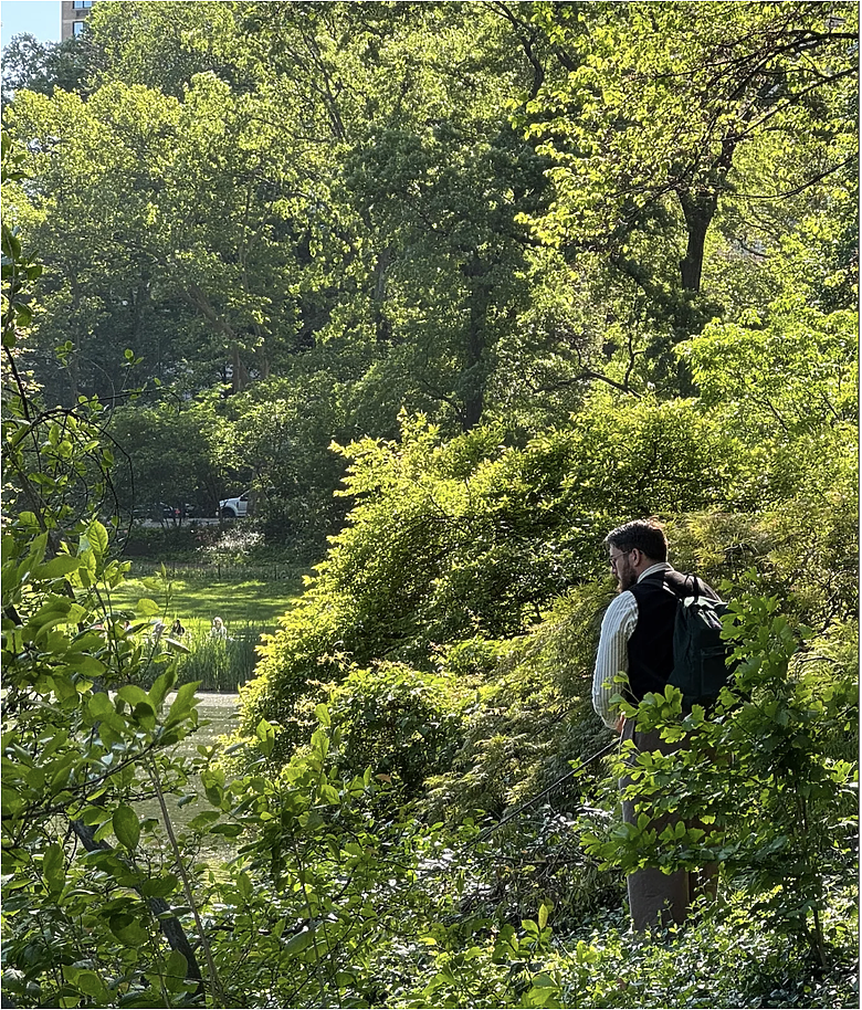 點我看大圖 紐約釣旅:中央公園晨光中的黑鱸初遇