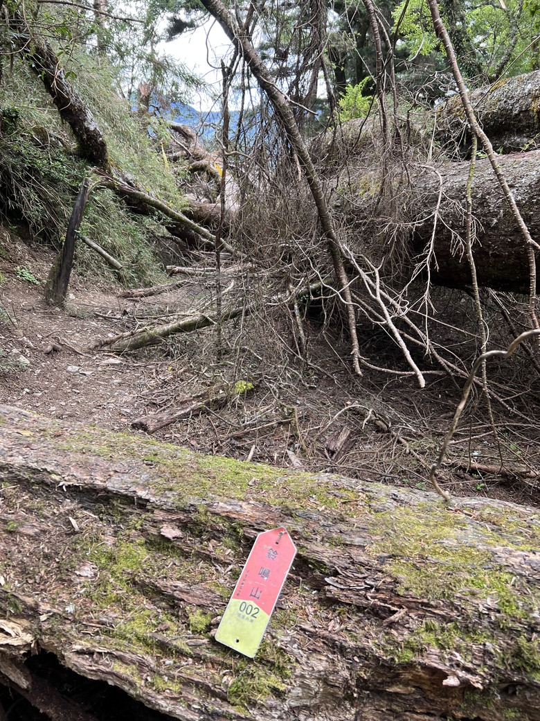登鈴鳴閂山 ,被颱風追趕