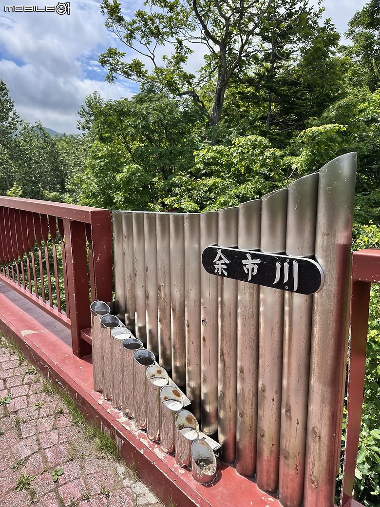 點我看大圖 北海道夏日健行|從 Club Med 出發,輕鬆走進余市岳登山口的森林步道