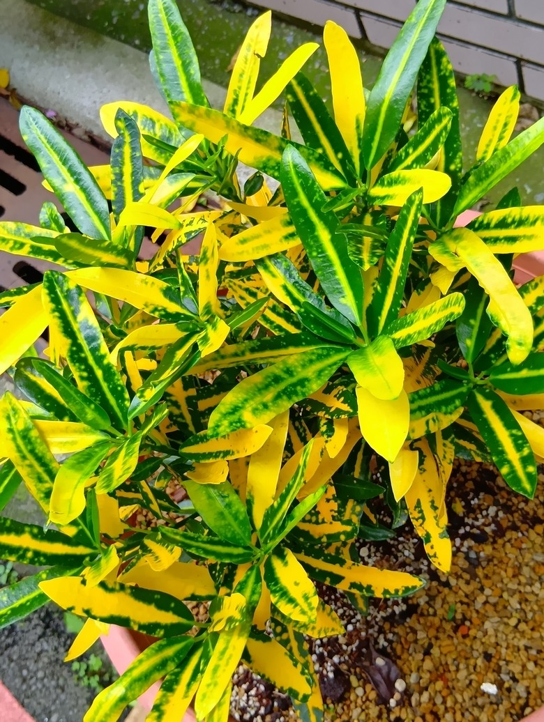 SHARP AQUOS wish5簡單開箱體驗