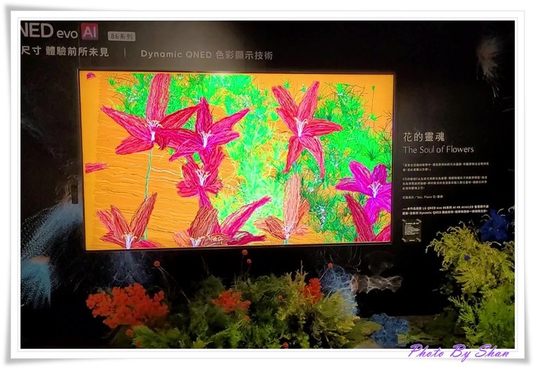 『小惡魔專屬』超越視界!LG 2025 極致美學電視體驗會-極透美學 透明真無線登場!第二代閨蜜機強勢回歸!