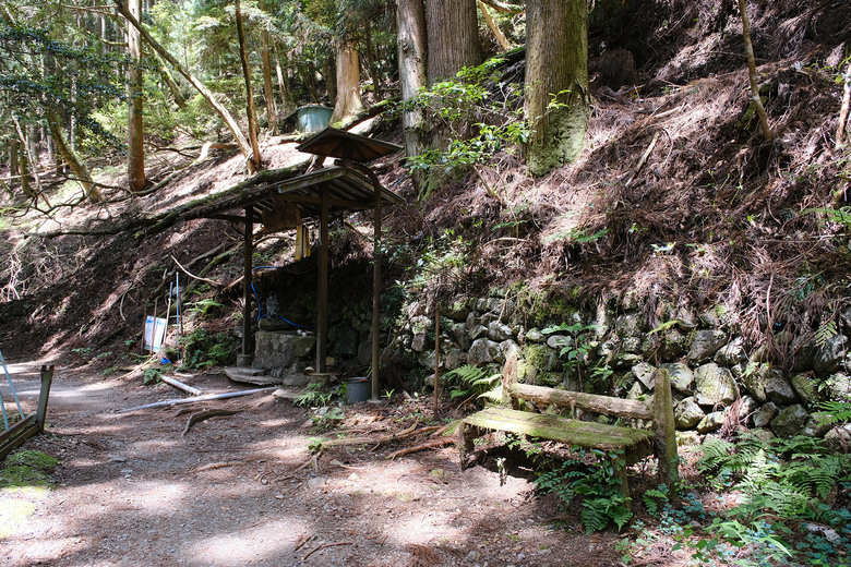 【熊野古道 Kumano Kodo】唯二的世界文化遺產朝聖之路 |中邊路38公里徒步之行