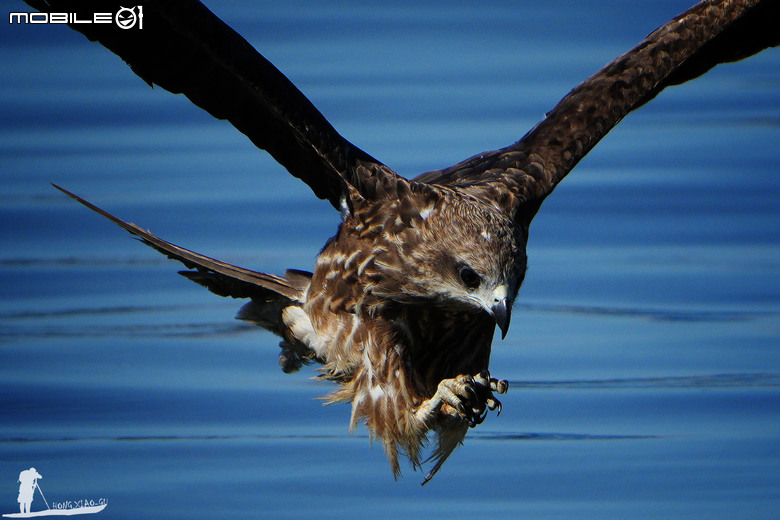 FE 400-800mm F6.3-8 G OSS 蓋大樓