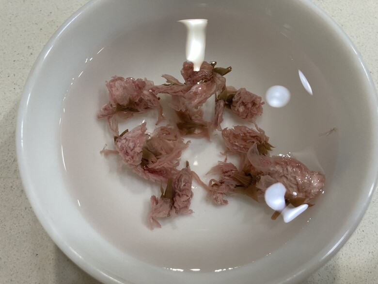 [魔物獵人]艾路貓吃的花見糰子