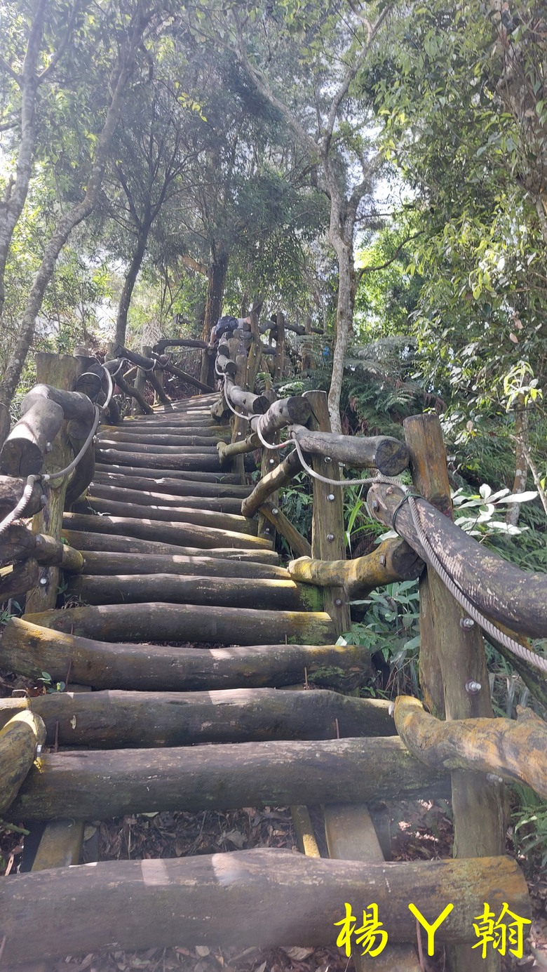 【台灣小百岳】攀登特色圓木棧道 大坑3號步道登頭嵙山