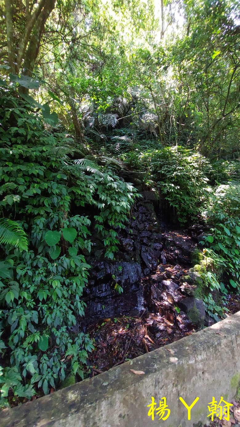 【郊山走走】擁有芬多精及負離子雙重享受的信賢步道