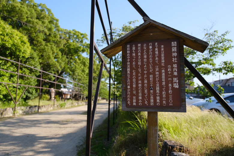 【熊野古道 Kumano Kodo】唯二的世界文化遺產朝聖之路 |中邊路38公里徒步之行