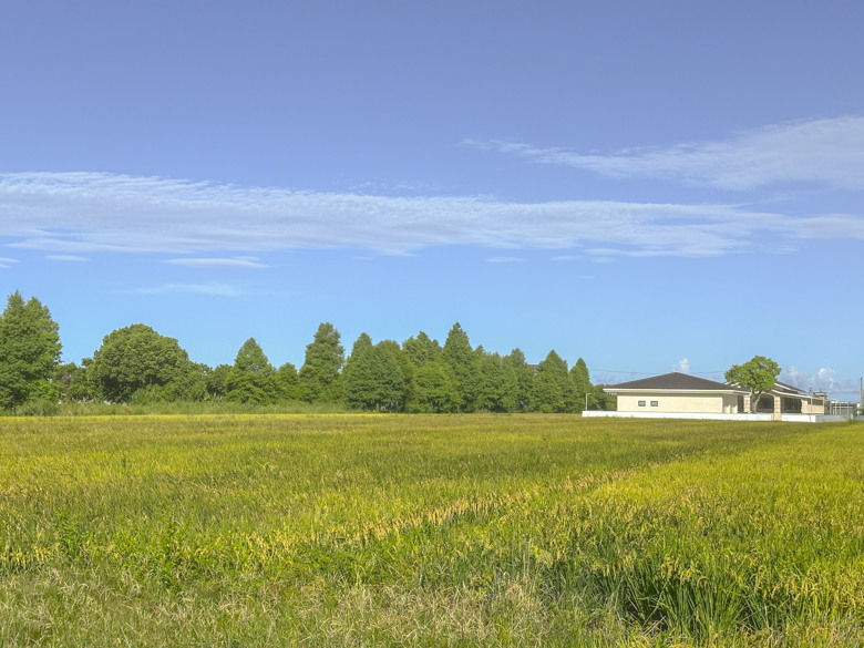 【多碼表選購簡評 佐路線分享 】 宜蘭台7丁 x Bryton x Garmin x Rolf x SCOTT