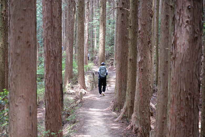 【熊野古道 Kumano Kodo】唯二的世界文化遺產朝聖之路 |中邊路38公里徒步之行