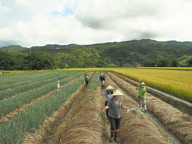 龜山島賞海豚、青蔥農場體驗蔥農生活、享用宜蘭在地無菜單料理 — 讓大腦放空休息一天之員工旅遊
