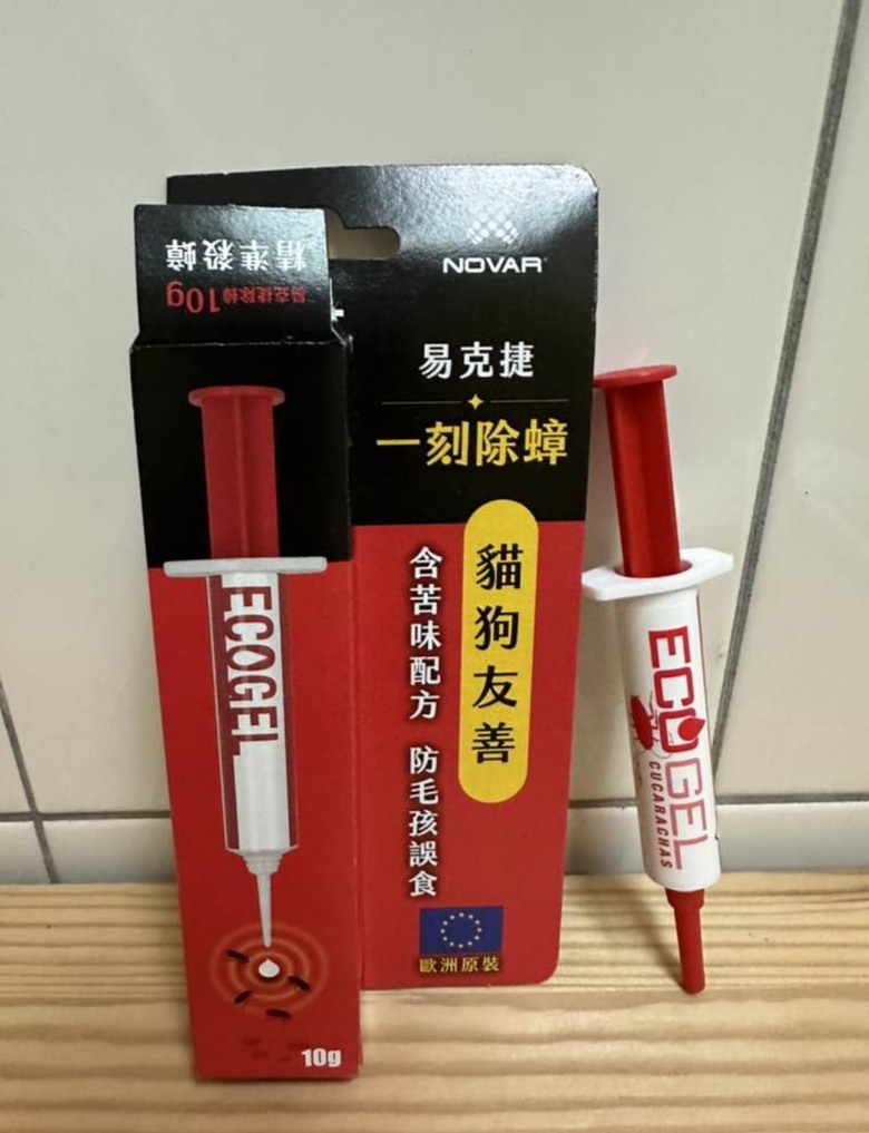 貓咪吃到蟑螂…..