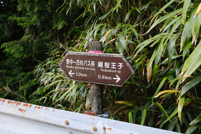 【熊野古道 Kumano Kodo】唯二的世界文化遺產朝聖之路 |中邊路38公里徒步之行