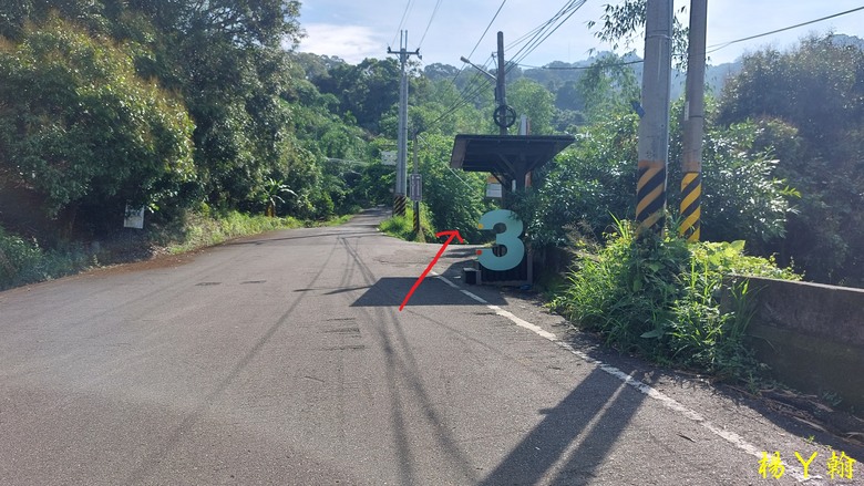 【台灣小百岳】攀登特色圓木棧道 大坑3號步道登頭嵙山