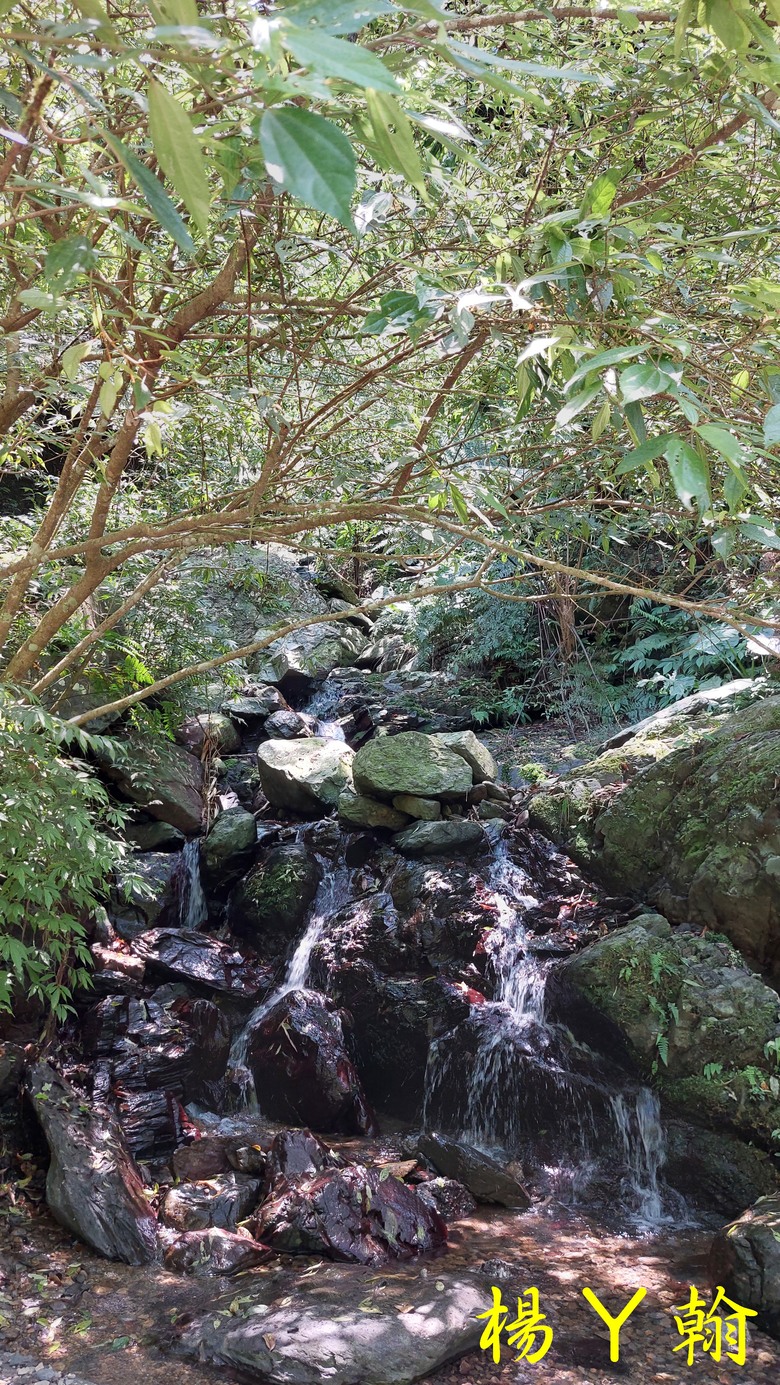 【郊山走走】擁有芬多精及負離子雙重享受的信賢步道