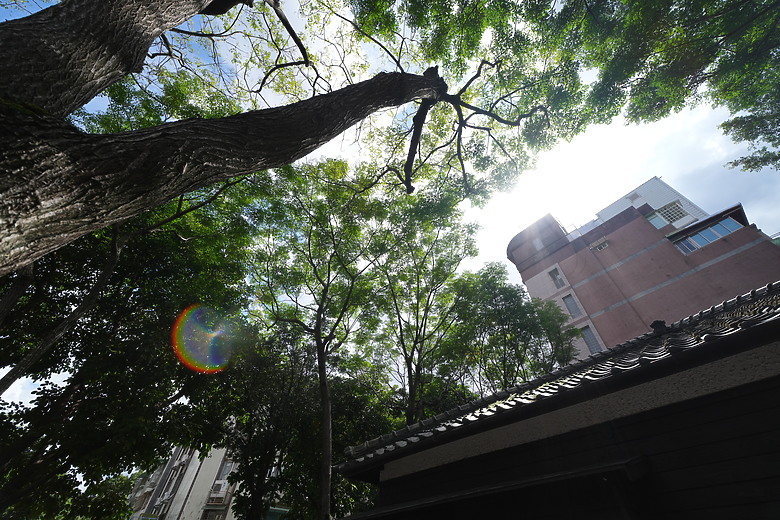 Samyang AF 14-24mm f/2.8 FE 評測報告｜誠意到位、僅 445 公克的超廣角變焦！
