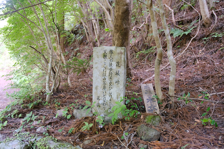 【熊野古道 Kumano Kodo】唯二的世界文化遺產朝聖之路 |中邊路38公里徒步之行