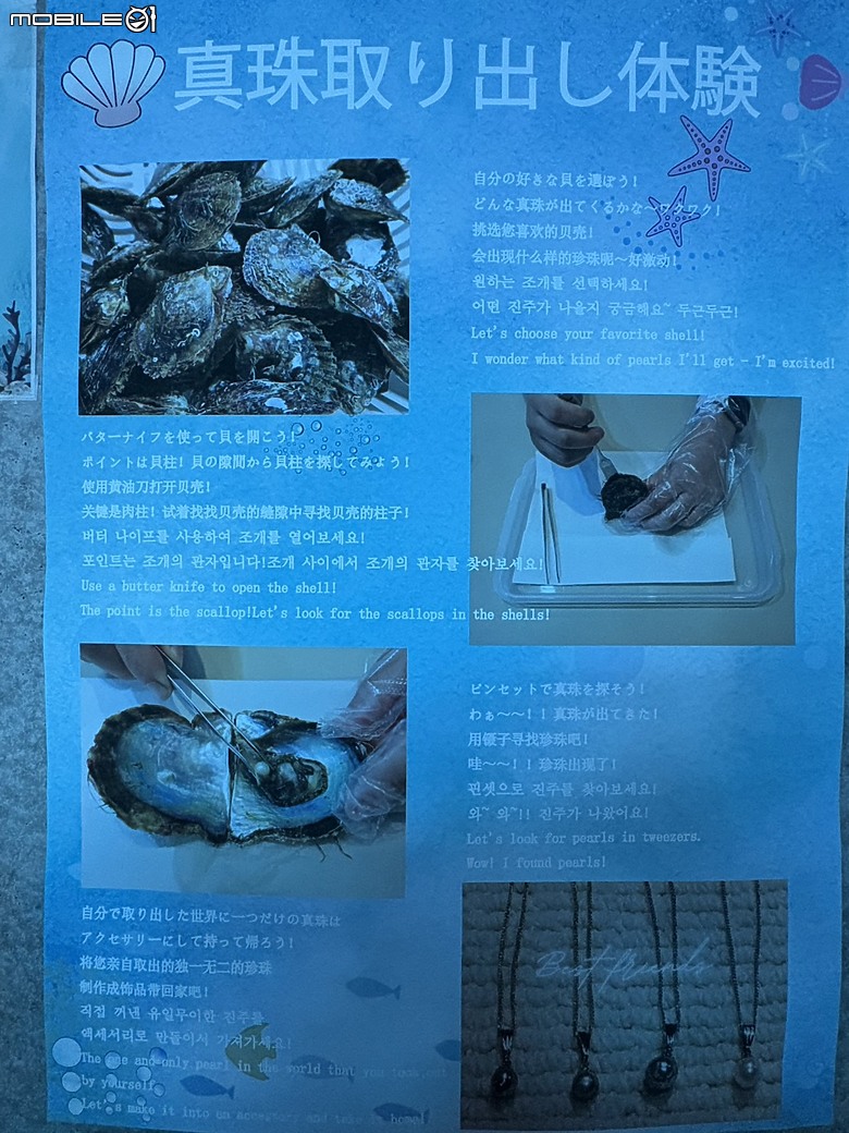 點我看大圖 【日本九州親子自駕遊記 Day 1-3】初登板的日本右駕挑戰!從門司港夜景、Umitamago水族館到 我們的African Safari 猛獸冒險!