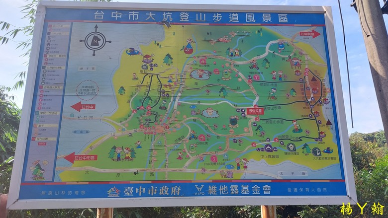 【台灣小百岳】攀登特色圓木棧道 大坑3號步道登頭嵙山