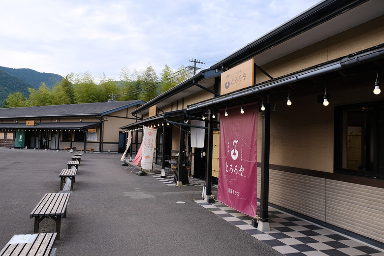 【熊野古道 Kumano Kodo】唯二的世界文化遺產朝聖之路 |中邊路38公里徒步之行