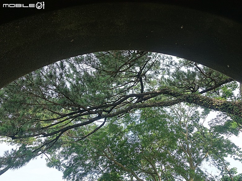 花蓮將軍府1936、花蓮港放送局1944、松園別館、花蓮文化創意產業園區、台灣鐵路局花蓮管理處處長官邸、野光 Fluorescent (原：黑金通) — 花蓮市區3小時快閃行旅