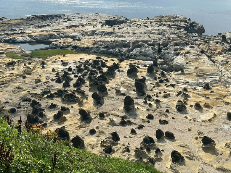 暑假和平島一日遊，順勢體驗路上能見度很高的HS和CR-V