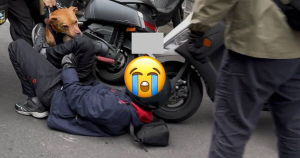 北市「激動姐」👩被開紅單，暴走 🍎摔警手機還🐶咬傷警👮👮 新增🎼音效畫面。