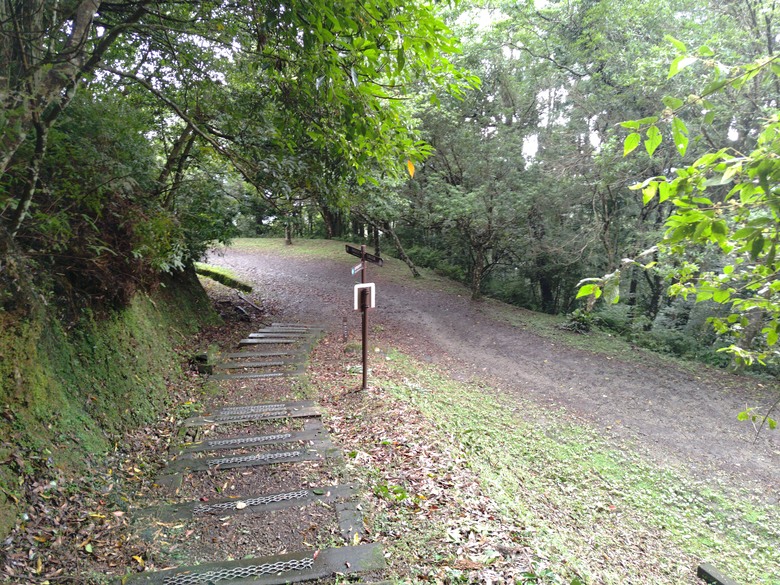 【遊記】回到「大漠國渡」的「起點」，續寫「森林之旅」，東眼山國家森林遊樂區 - 大漠國渡