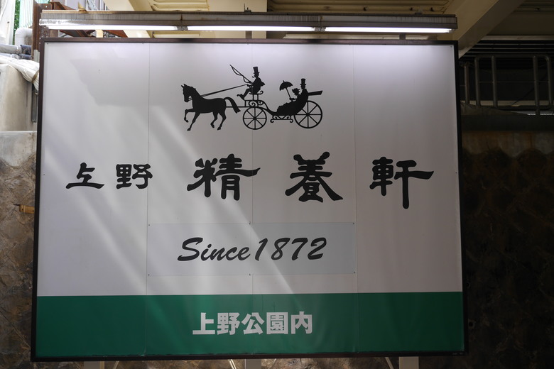 2019的東京自助行,有點年代了但是應該還有些參考價值吧?