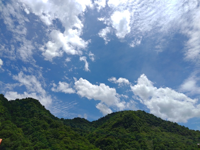 【遊記】說好的「天長地久」，沒想到會來不及「將它記下」，觸口天長地久橋 (阿里山國家風景區) - 大漠國渡