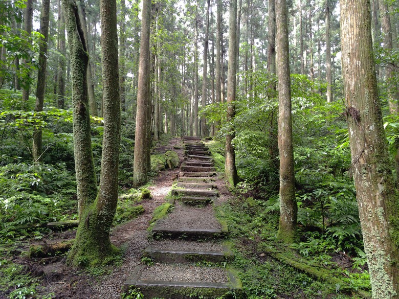 【遊記】回到「大漠國渡」的「起點」，續寫「森林之旅」，東眼山國家森林遊樂區 - 大漠國渡