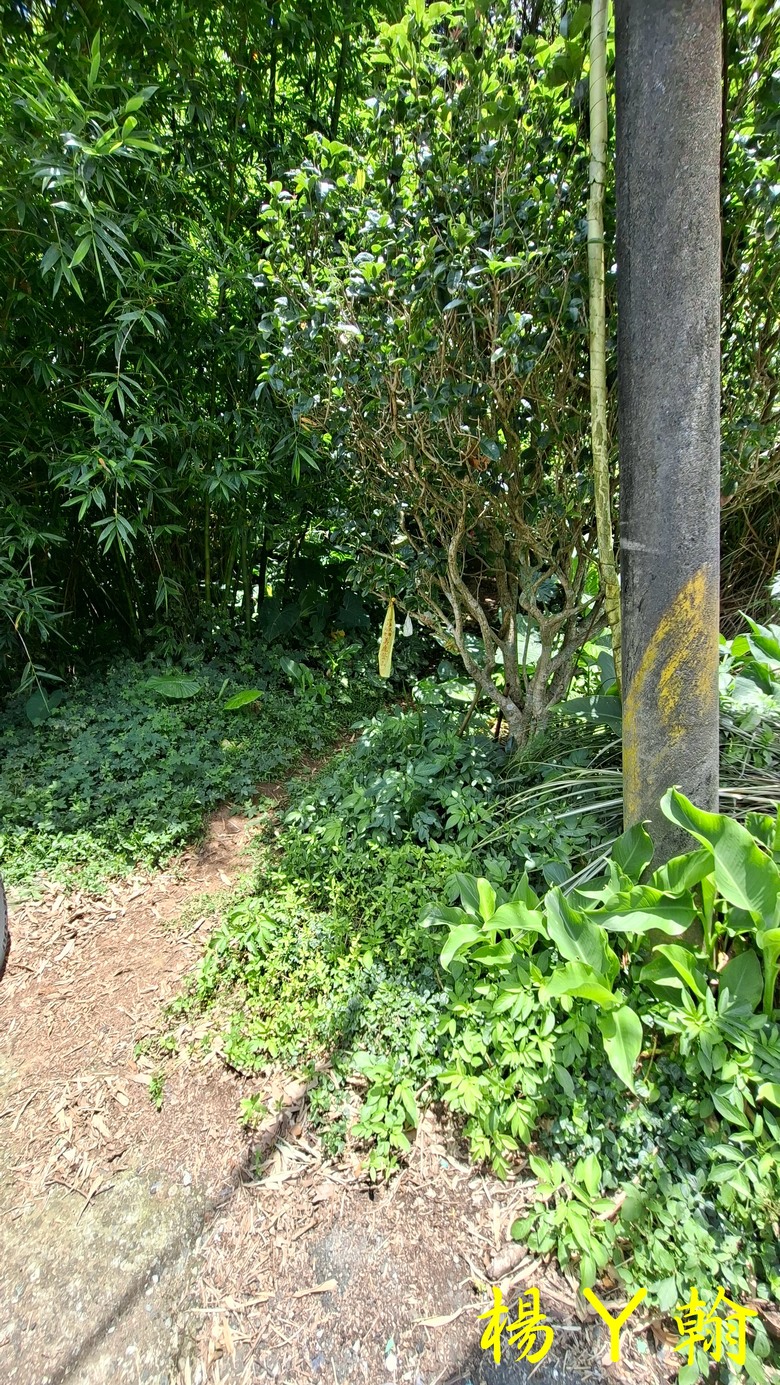 【郊山走走】草山觀瀑吊橋觀瀑、猴崁水圳古道消暑、頂湖山登山健行