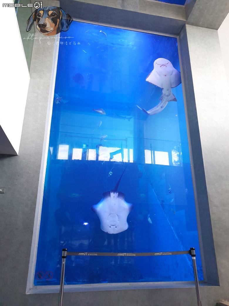 基隆潮境智能海洋館：不只是水族館，是讓你秒變海洋探險家的未來樂園｜癡吃霞與凌犬崔西