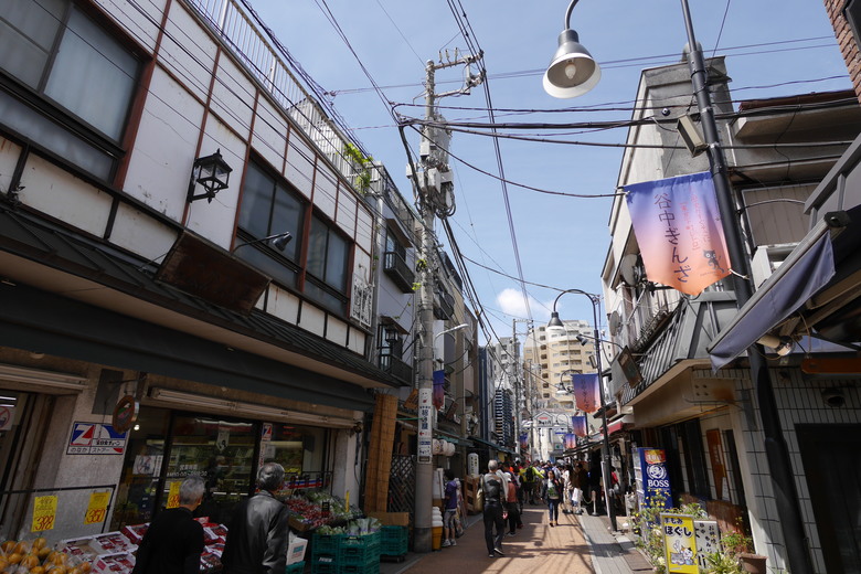 2019的東京自助行,有點年代了但是應該還有些參考價值吧?