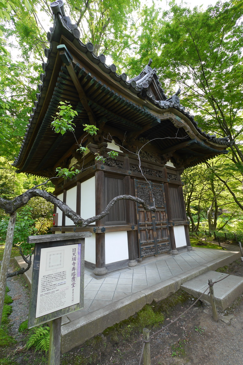 2019的東京自助行,有點年代了但是應該還有些參考價值吧?