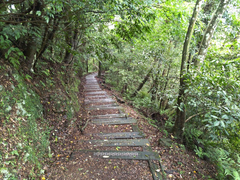 【遊記】回到「大漠國渡」的「起點」，續寫「森林之旅」，東眼山國家森林遊樂區 - 大漠國渡