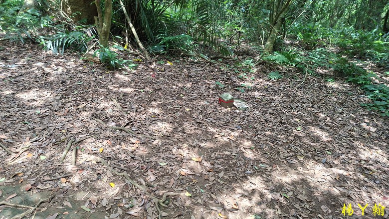 【郊山走走】草山觀瀑吊橋觀瀑、猴崁水圳古道消暑、頂湖山登山健行