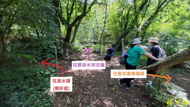 【郊山走走】草山觀瀑吊橋觀瀑、猴崁水圳古道消暑、頂湖山登山健行