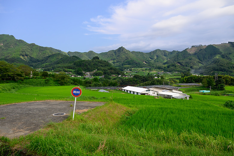 用NIKON 24-70mm F2.8S走訪日本熊本（小開箱）